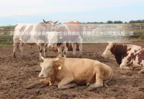 2022年养殖行业股票龙头企业有哪些?养殖业上市公司龙头股一览