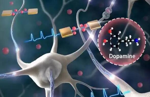 2022生物传感器概念股票有哪些?生物传感器概念股龙头一览