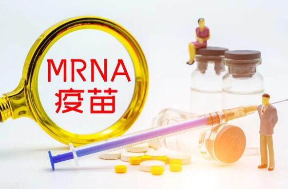 mRNA疫苗上市公司有哪些?mRNA疫苗上市公司龙头股一览