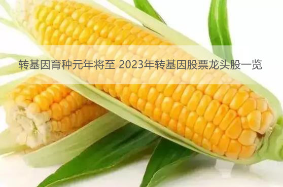 转基因育种元年将至 2023年转基因股票龙头股一览