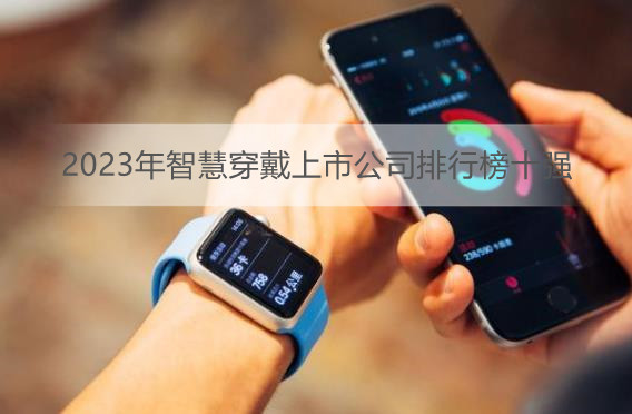 2023年智慧穿戴上市公司排行榜十强