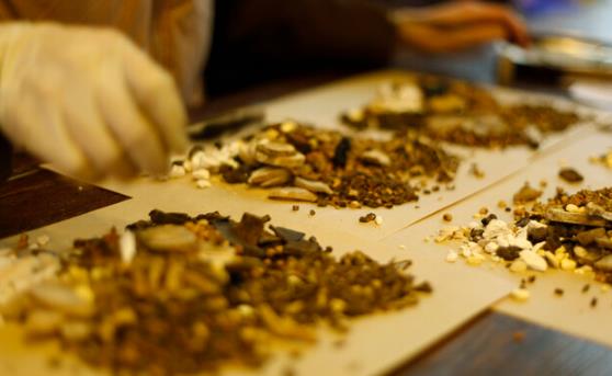 中医药发展规划来了!2023年中医药概念股龙头股一览