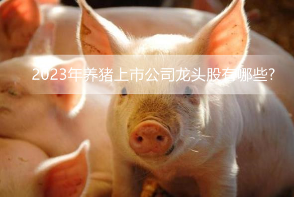 2023年养猪上市公司龙头股有哪些?养猪上市企业排行榜前十