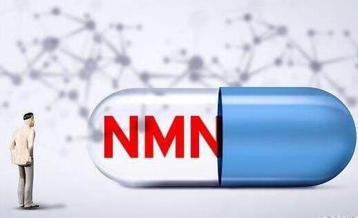 2023年nmn上市公司龙头股有哪些?NMN10大上市企业排行榜
