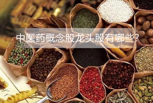 中医药鼓励政策落地进度超市场预期 中医药概念股龙头股有哪些?
