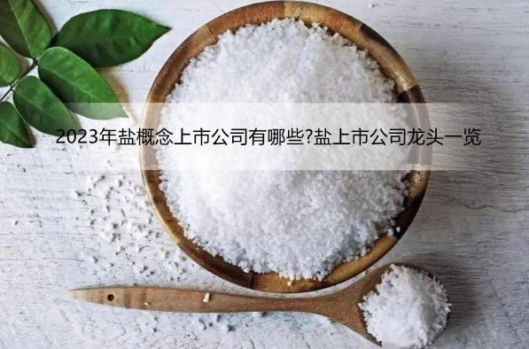 2023年盐概念上市公司有哪些?盐上市公司龙头一览