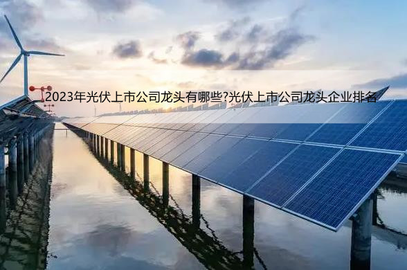 2023年光伏上市公司龙头有哪些?光伏上市公司龙头企业排名