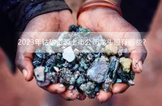 2023年钴矿资源上市公司龙头股有哪些？