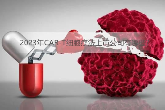 2023年CAR-T细胞疗法上市公司有哪些?
