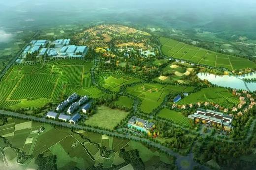 2023年十大生态农业龙头股排行榜