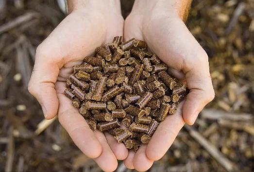 生物质能上市公司有哪些?生物质能上市公司龙头股一览