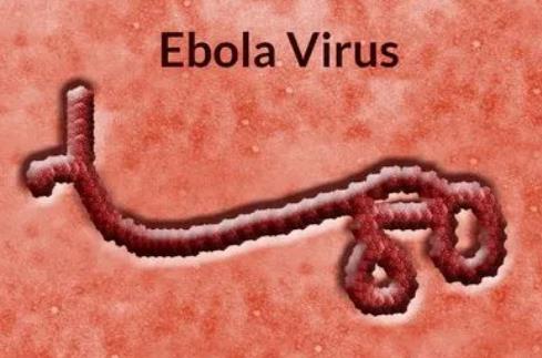 埃博拉上市公司有哪些?十大埃博拉上市公司排行榜