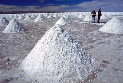 锂盐概念龙头股获主力追捧 锂盐概念龙头股票有哪些?