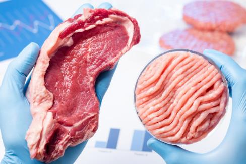 人造肉