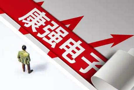 康强电子(002119)股票价格及行情分析