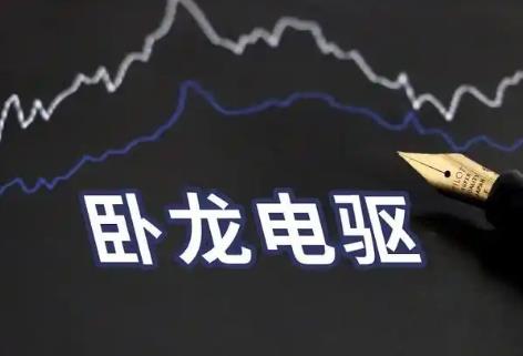 卧龙电驱(600580)股票价格及行情分析