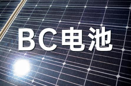 BC电池